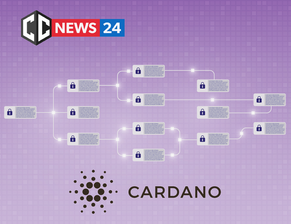 Cardano has completed the First successful tests of the fully decentralized Shelley network