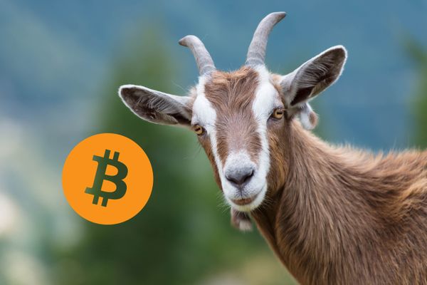 Bitcoin is the name of Mark Zuckerberg's goat